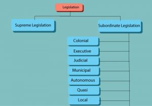 Legislation As A Source of Law | Delegated Legislation - Law Legum